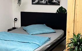 Zentrumnah inklusive Parkplatz Jungle-Suite by Rentigo - Ruheoase im Herzen von Saarbrücken!